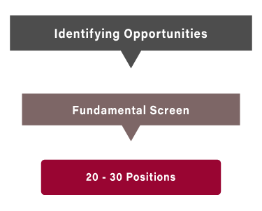Identifying opportunities and fundamental screening leading to 20 - 30 positions.