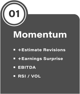 Momentum; +estimate revisions; +earnings surprise; EBITDA; RSI/VOL